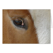 Oeil de carte de cheval