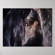 Oeil de cheval affiche