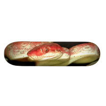 Oeil de cool de serpent Bro animal/garçons/cadeau  Planches À Roulettes Customisées