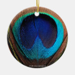 Oeil du plan rapproché de plume de paon décoration de noël