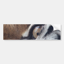 Oeil d'un tigre adhésif pour voiture