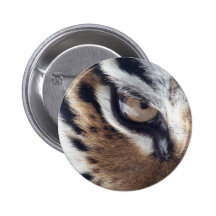 Oeil d'un tigre badge