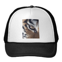 Oeil d'un tigre casquette