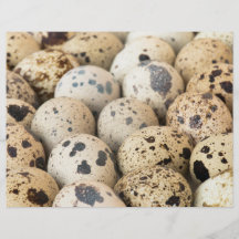 Oeufs de caille tract