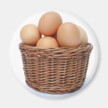 Oeufs de poulet de Brown Magnets