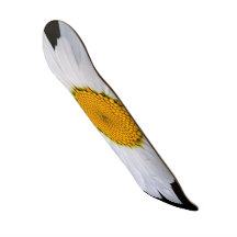offre planches à roulettes customisées