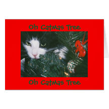 Oh carte d'arbre de Catmas