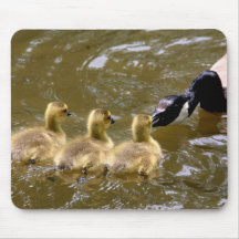 Oie de mère Mousepad Tapis De Souris