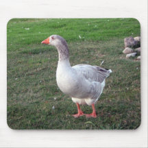 Oie en parc - mousepad tapis de souris