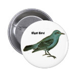 Oiseau bleu badges avec agrafe