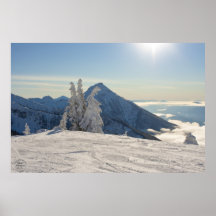Oiseau bleu dans la copie alpine d'art posters