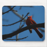 Oiseau cardinal rouge sur le ciel bleu Mousepad Tapis De Souris