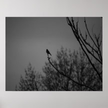 Oiseau crépusculaire affiche