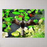 Oiseau d'Anhinga, parc national de marais, FL Posters