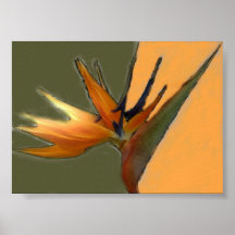 Oiseau de copie de paradis posters