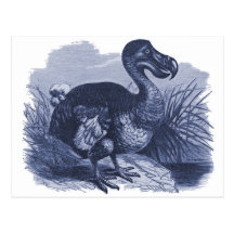 Oiseau de dronte cartes postales