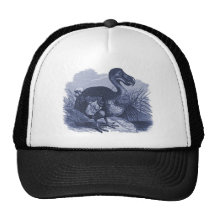 Oiseau de dronte casquette