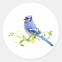 Oiseau de geai bleu autocollant