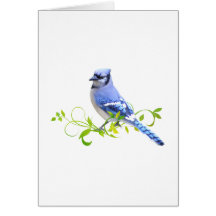 Oiseau de geai bleu cartes de vœux