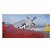 Oiseau de guerre cartes de vœux avec photo