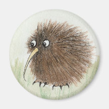 Oiseau de kiwi magnets pour réfrigérateur