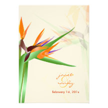 Oiseau de PixDezines de couleur d'arrière - plan d Invitations