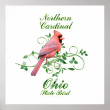 Oiseau d'état cardinal de l'Ohio Posters