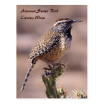 Oiseau d'état de l'Arizona - carte postale de roit