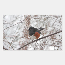 Oiseau d'hiver dans la neige autocollant rectangulaire