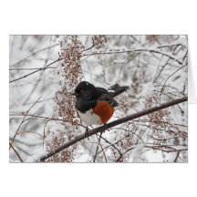 Oiseau d'hiver dans la neige carte de vœux