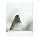 Oiseau d'hiver toiles tendues sur châssis