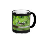Oiseau drôle - tasse