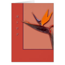 Oiseau du paradis cartes de vœux