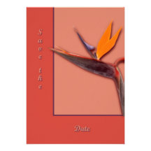 Oiseau du paradis faire-parts