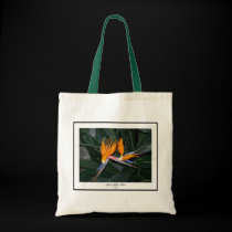 Oiseau du paradis sacs