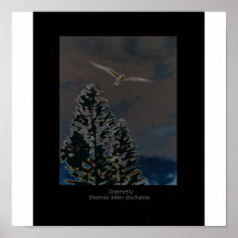 Oiseau en vol poster