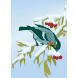 Cartes Oiseaux