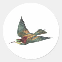 Oiseau européen d'Abeille-mangeur Autocollants