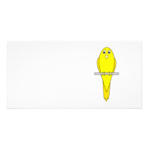 Oiseau jaune. Canari. Sur le blanc Modèle Pour Photocarte