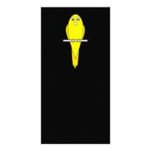 Oiseau jaune. Canari. Sur le noir Cartes Avec Photo
