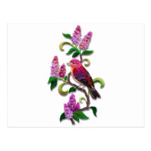 oiseau lilas cartes postales
