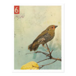 Oiseau No.2 Cartes Postales