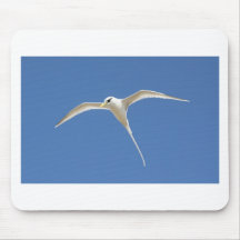 Oiseau Paille en Queue Ile Maurice Tapis De Souris