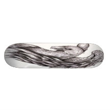 oiseau planches à roulettes