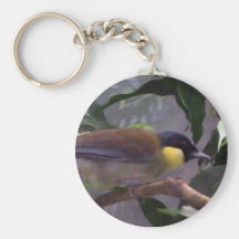 Oiseau Porte-clefs