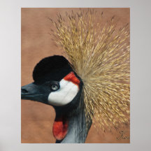 Oiseau Posters