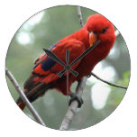 OISEAU ROUGE PENDULE