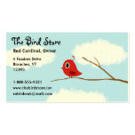 Oiseau rouge sur une branche d'arbre avec le ciel  modèle de carte de visite