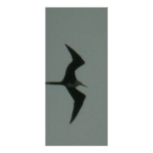 oiseau solo modèle de double carte
