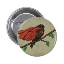 Oiseau superbe badges